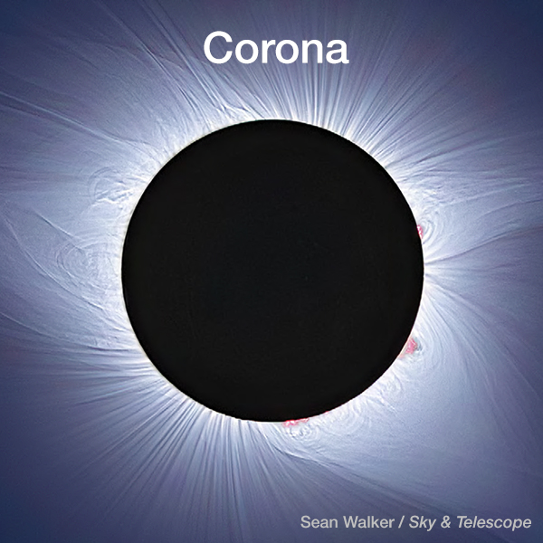 Corona at Totality